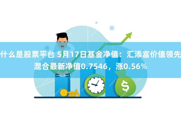 什么是股票平台 5月17日基金净值：汇添富价值领先混合最新净值0.7546，涨0.56%