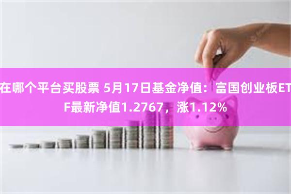 在哪个平台买股票 5月17日基金净值：富国创业板ETF最新净值1.2767，涨1.12%