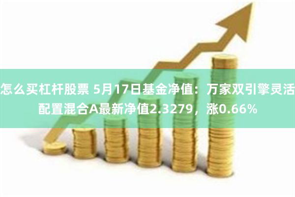 怎么买杠杆股票 5月17日基金净值：万家双引擎灵活配置混合A最新净值2.3279，涨0.66%