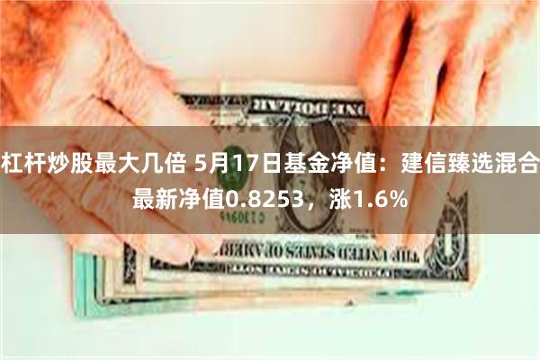 杠杆炒股最大几倍 5月17日基金净值：建信臻选混合最新净值0.8253，涨1.6%