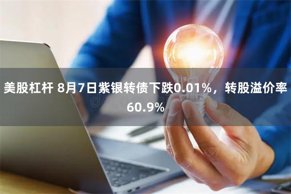 美股杠杆 8月7日紫银转债下跌0.01%，转股溢价率60.9%