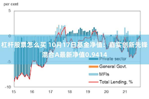 杠杆股票怎么买 10月17日基金净值：嘉实创新先锋混合A最新净值0.9414