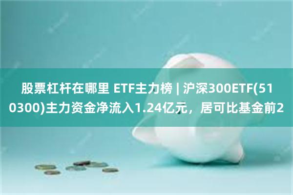 股票杠杆在哪里 ETF主力榜 | 沪深300ETF(510300)主力资金净流入1.24亿元，居可比基金前2