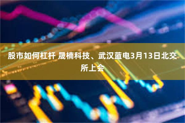 股市如何杠杆 晟楠科技、武汉蓝电3月13日北交所上会