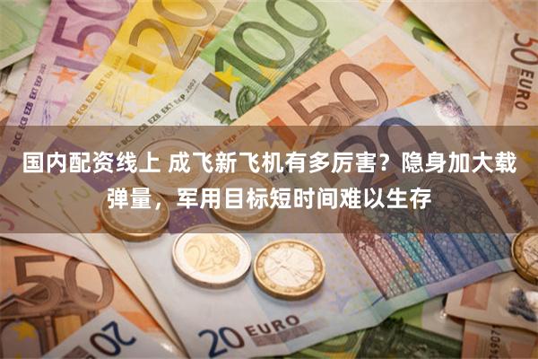 国内配资线上 成飞新飞机有多厉害？隐身加大载弹量，军用目标短时间难以生存