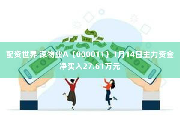 配资世界 深物业A（000011）1月14日主力资金净买入27.61万元