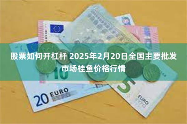 股票如何开杠杆 2025年2月20日全国主要批发市场桂鱼价格行情